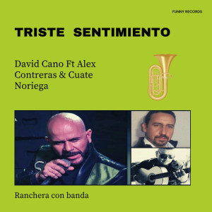 ดาวน์โหลดและฟังเพลง Triste Sentimiento พร้อมเนื้อเพลงจาก David Cano