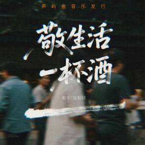 Album 敬生活一杯酒 from 张智轩
