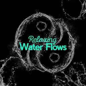 อัลบัม Relaxing Water Flows ศิลปิน The Relaxing Sounds of Water