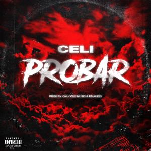 收聽CeliMusic的Probar (Explicit)歌詞歌曲