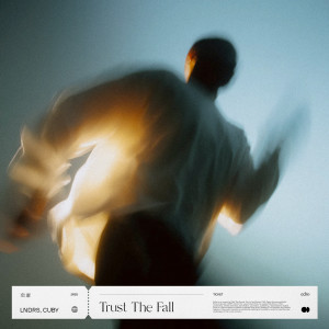 Album Trust The Fall from Lndrs