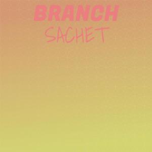 Listen to Branch Sachet song with lyrics from Osmo Daik