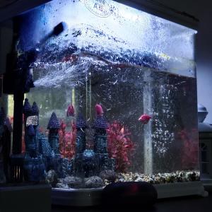 Listen to TOUCH (feat. Axiis B) song with lyrics from JK433