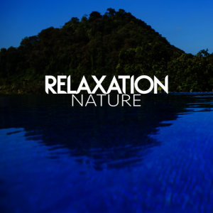收聽Nature Sounds for Sleep and Relaxation的Water Under the Bridge歌詞歌曲