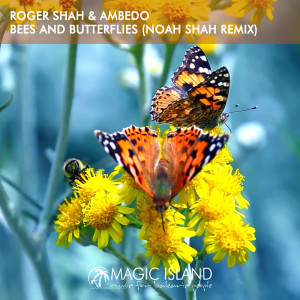 Roger Shah的專輯Bees And Butterflies (Noah Shah Remix)