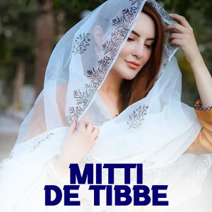 Aditya Sharma的专辑Mitti De Tibbe
