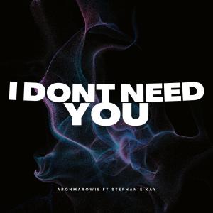 收聽AronMaRowie的I DONT NEED YOU (feat. Stephanie Kay)歌詞歌曲