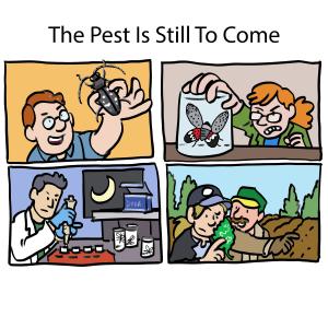 收聽Dan Warren的The Pest Is Still To Come歌詞歌曲