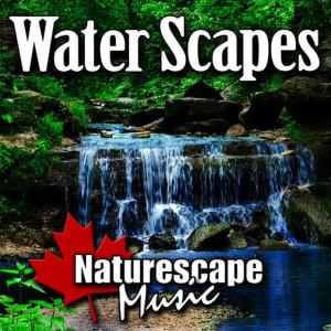 收聽Naturescape Music的The Bitter with the Sweet - Meditate to the Sound of Waterfalls歌詞歌曲