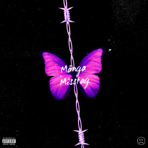 Listen to Många Misstag (Explicit) song with lyrics from Siyah