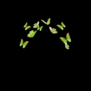 LalaBay的专辑Fireflies