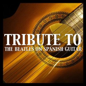 ดาวน์โหลดและฟังเพลง Medley Beatles Guitar (Tribute Version) พร้อมเนื้อเพลงจาก The Harmony Group
