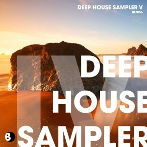 Various Artists的专辑Deep House Sampler V