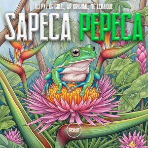 收聽DJ Px7 Original的Sapeca Pepeca (Explicit)歌詞歌曲
