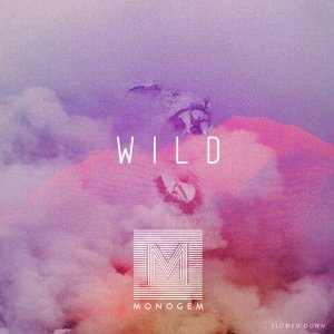 Album Wild - Slowed Down oleh Monogem
