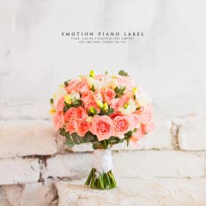 Various Artists的专辑Emotional piano presents to lovers of love