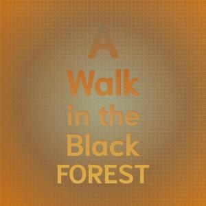 收聽Horst Jankowski的A Walk in the Black Forest歌詞歌曲