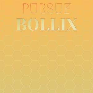 อัลบัม Pursue Bollix ศิลปิน Various