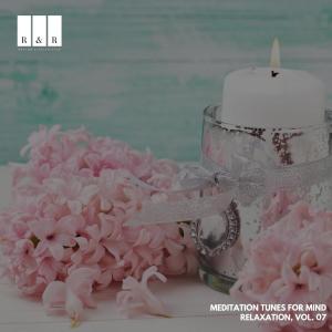 Album Meditation Tunes for Mind Relaxation, Vol. 07 from Various