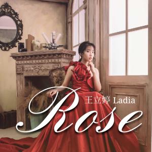 Dengarkan Rose lagu dari 王立婷 dengan lirik