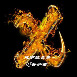 Album 越南鼓合集 from DJ菩萨蛮