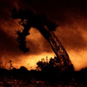 收聽The Tenebrous Liar的Is This How It Ends? (Explicit)歌詞歌曲