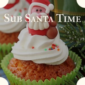Listen to Merry Christmas Elvis song with lyrics from Michele Cody