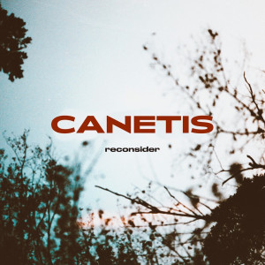 Album Reconsider oleh canetis