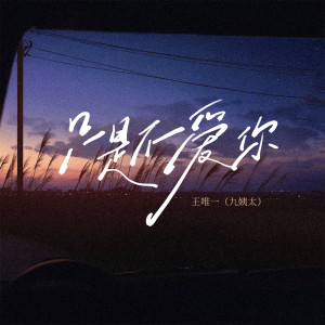 Album 只是不爱你 from 王唯一