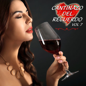Listen to No Te Sirvo Para Nada song with lyrics from Daniela Santamaria