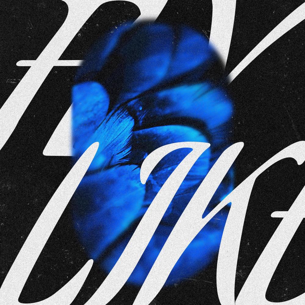 Fly Like (Explicit)