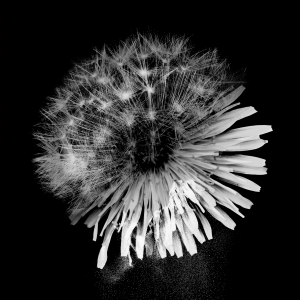 收聽神はサイコロを振らない的タイムファクター歌詞歌曲