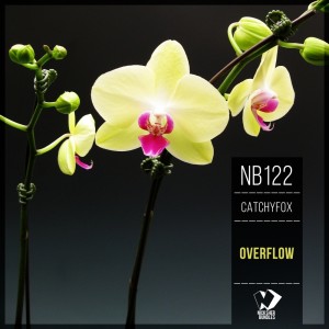 CatchyFox的专辑Overflow