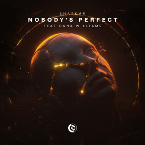 อัลบัม Nobody's Perfect (feat. Dana Williams) ศิลปิน Bhaskar