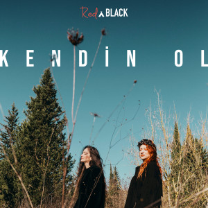 Listen to Kendin Ol song with lyrics from RednBlack