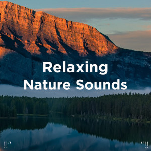 Listen to Ocean Music For Yoga song with lyrics from Deep Sleep