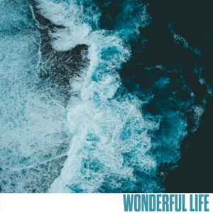 Album Wonderful Life from Malory