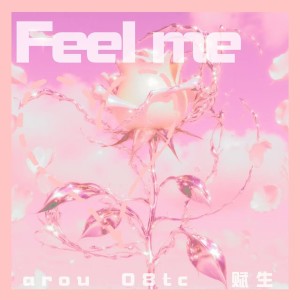 Album Feel Me（爱升温） from arou贺锦源