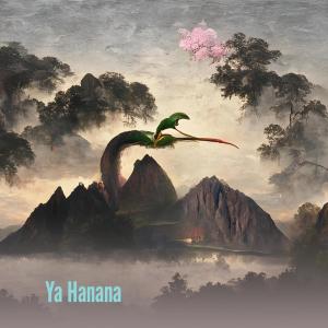 Listen to Ya Hanana (Live) song with lyrics from ksnMn