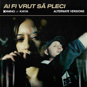 Listen to Ai fi vrut să pleci (Slowed & Reverb) song with lyrics from DOMINO
