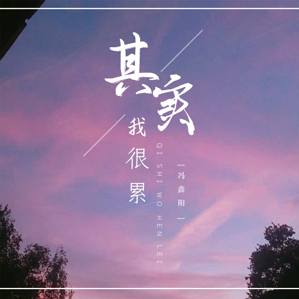 其实我很累 (DJ阳少版伴奏)
