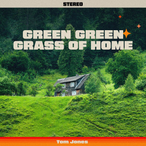 Tom Jones的專輯Green Green Grass Of Home