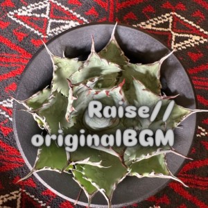 Listen to 激情対決 song with lyrics from Raise