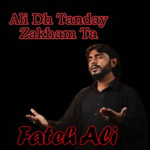 收聽Fateh Ali的Ali Dh Tanday Zakham Ta歌詞歌曲