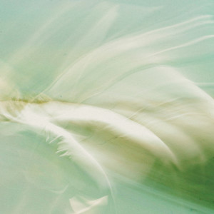 อัลบัม The Edge of Ancient ศิลปิน Charlie Dreaming