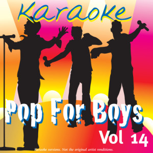Ameritz Karaoke Band的專輯Karaoke - Pop For Boys Vol.14