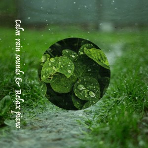 Listen to 宿雨 Part14 (feat. 三浦美穂路) song with lyrics from ALL BGM CHANNEL