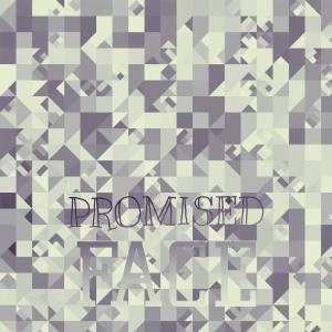 อัลบัม Promised Face ศิลปิน Various