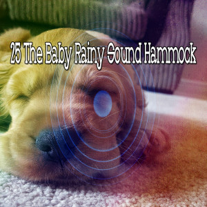 Listen to Calming of the Rain song with lyrics from Rain Sounds