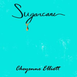 ดาวน์โหลดและฟังเพลง Sugarcane พร้อมเนื้อเพลงจาก Cheyenne Elliott